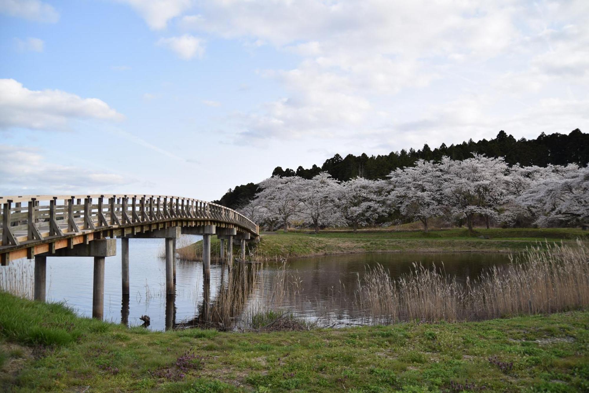 Minami Sanriku Hotel kanyo Shizugawa Bagian luar foto